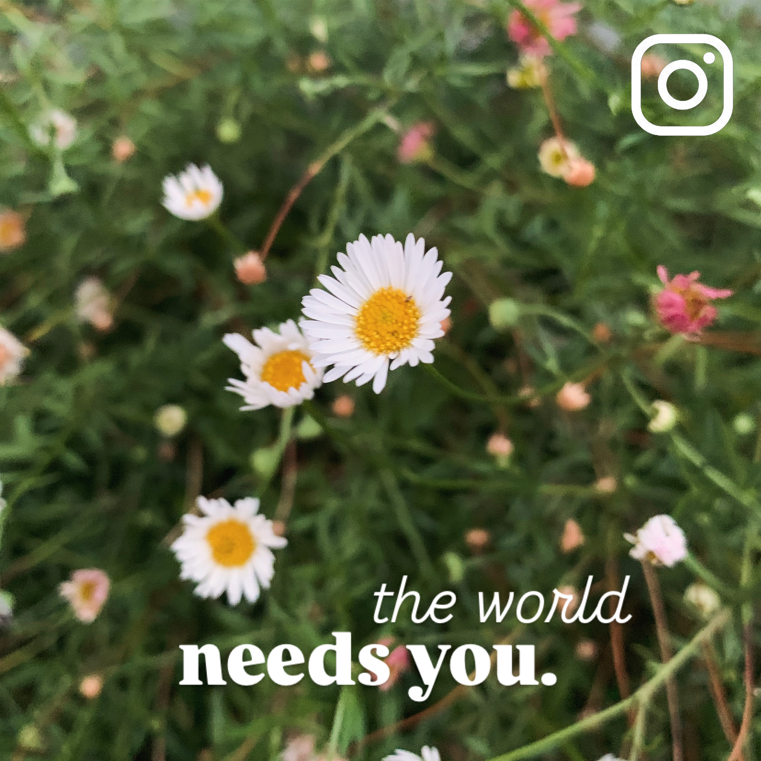 Instagram Image 6